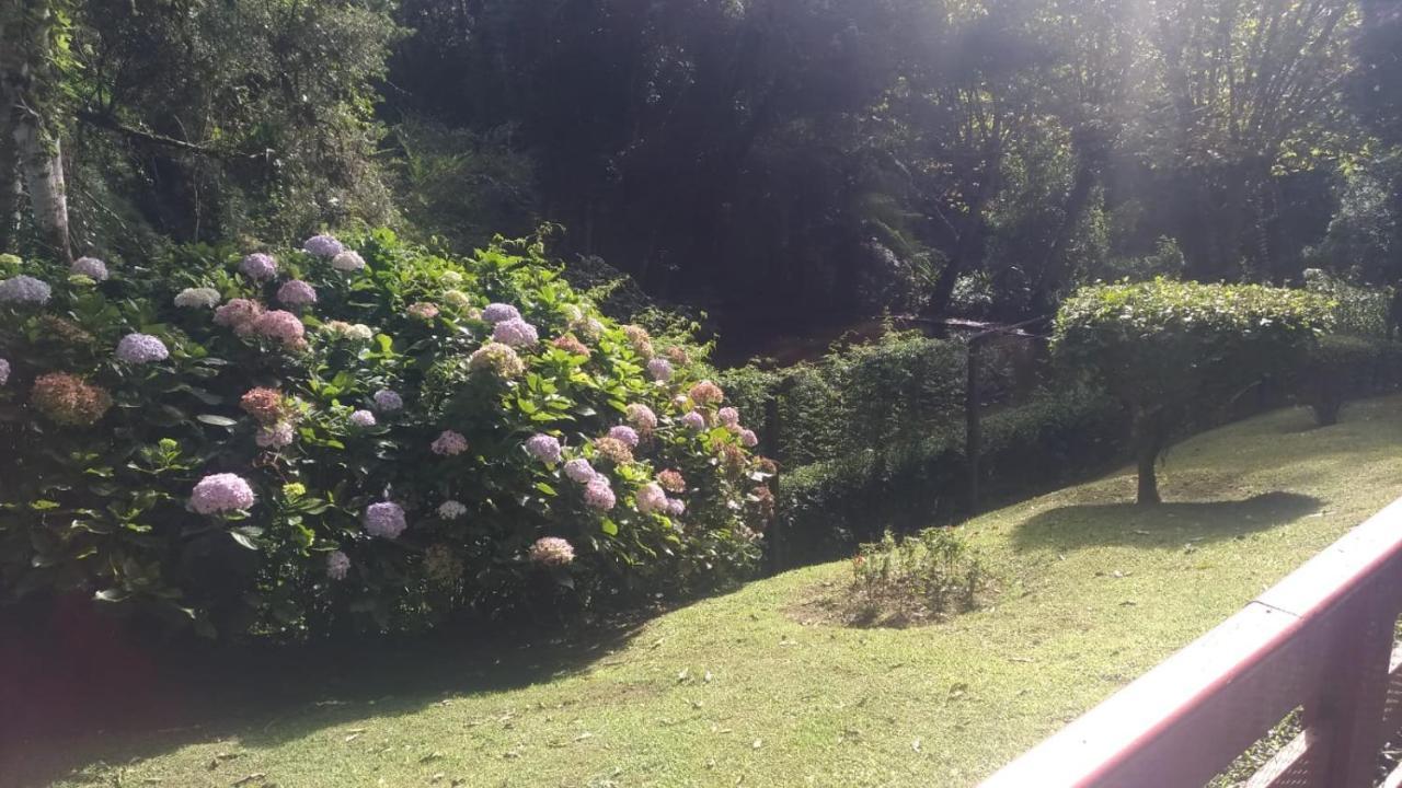 Apartamento No Morro Do Elefante Campos do Jordão المظهر الخارجي الصورة